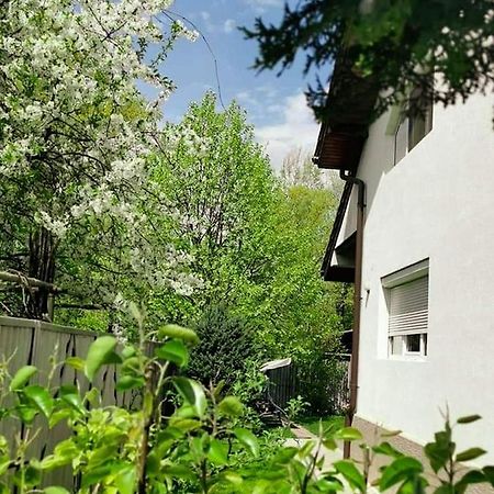 Casa File De Poveste Târgu Jiu Exterior foto