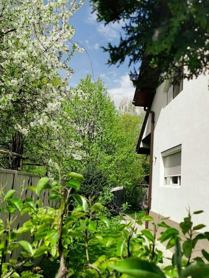 Casa File De Poveste Târgu Jiu Exterior foto