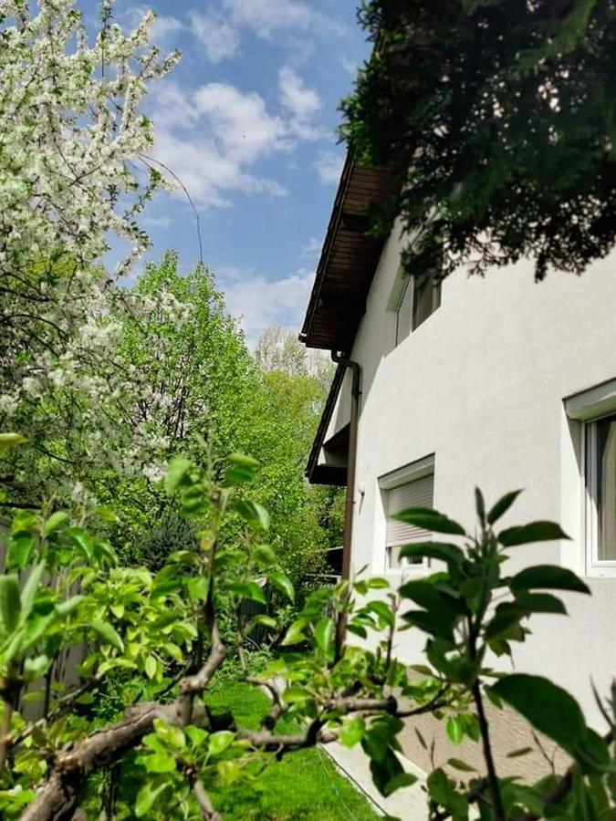 Casa File De Poveste Târgu Jiu Exterior foto
