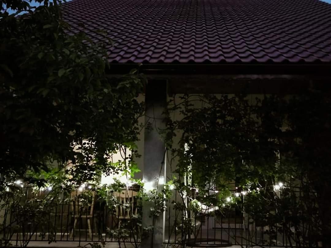 Casa File De Poveste Târgu Jiu Exterior foto